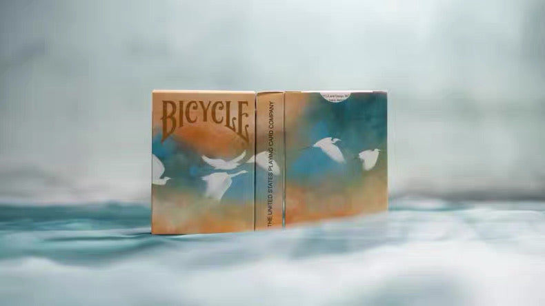 Bicycle Seasons series