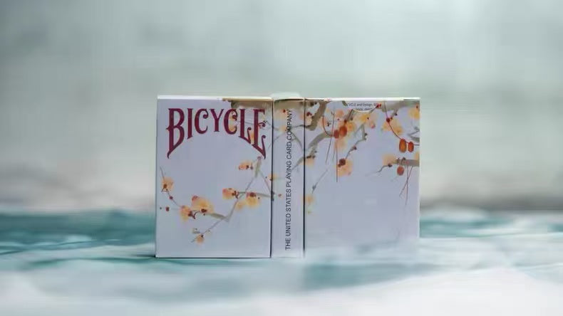 Bicycle Seasons series