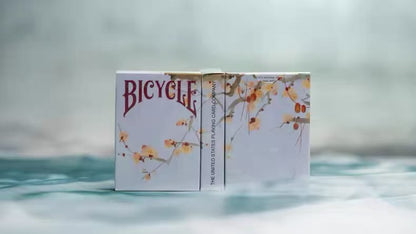Bicycle Seasons series