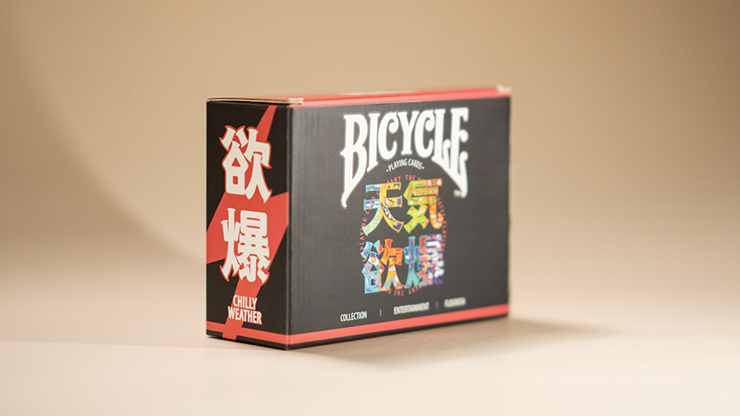 Bicycle Chilly Weather Blind Pack Playing Cards